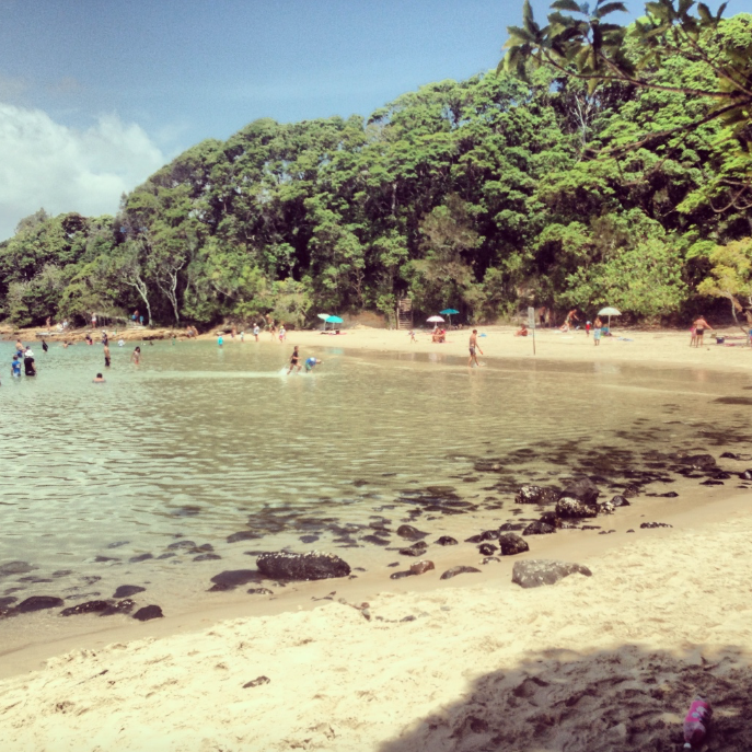 Surfers Paradise, Burleigh Heads,Queensland Health and 