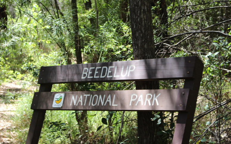 Beedelup National Park Anjelica