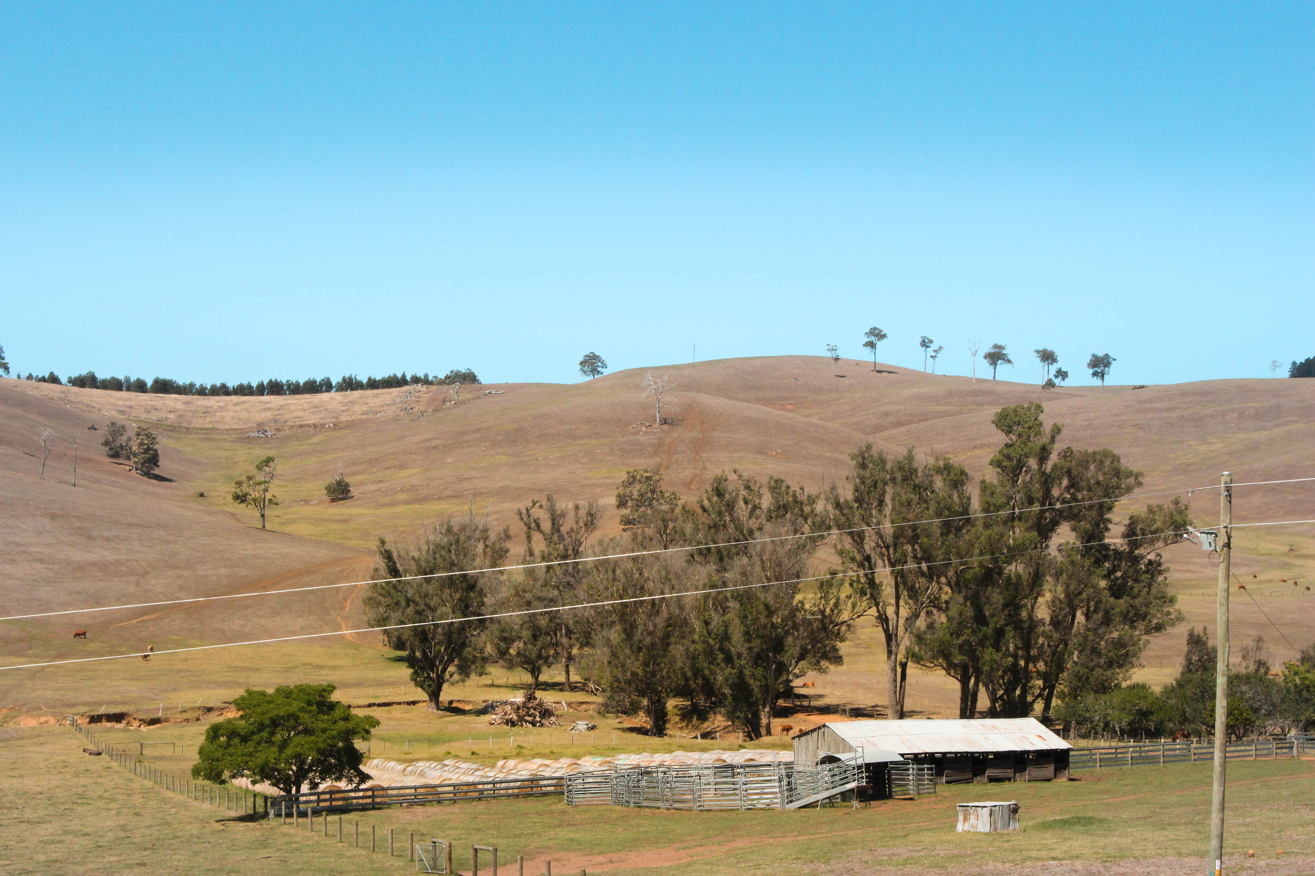 farm-pemberton