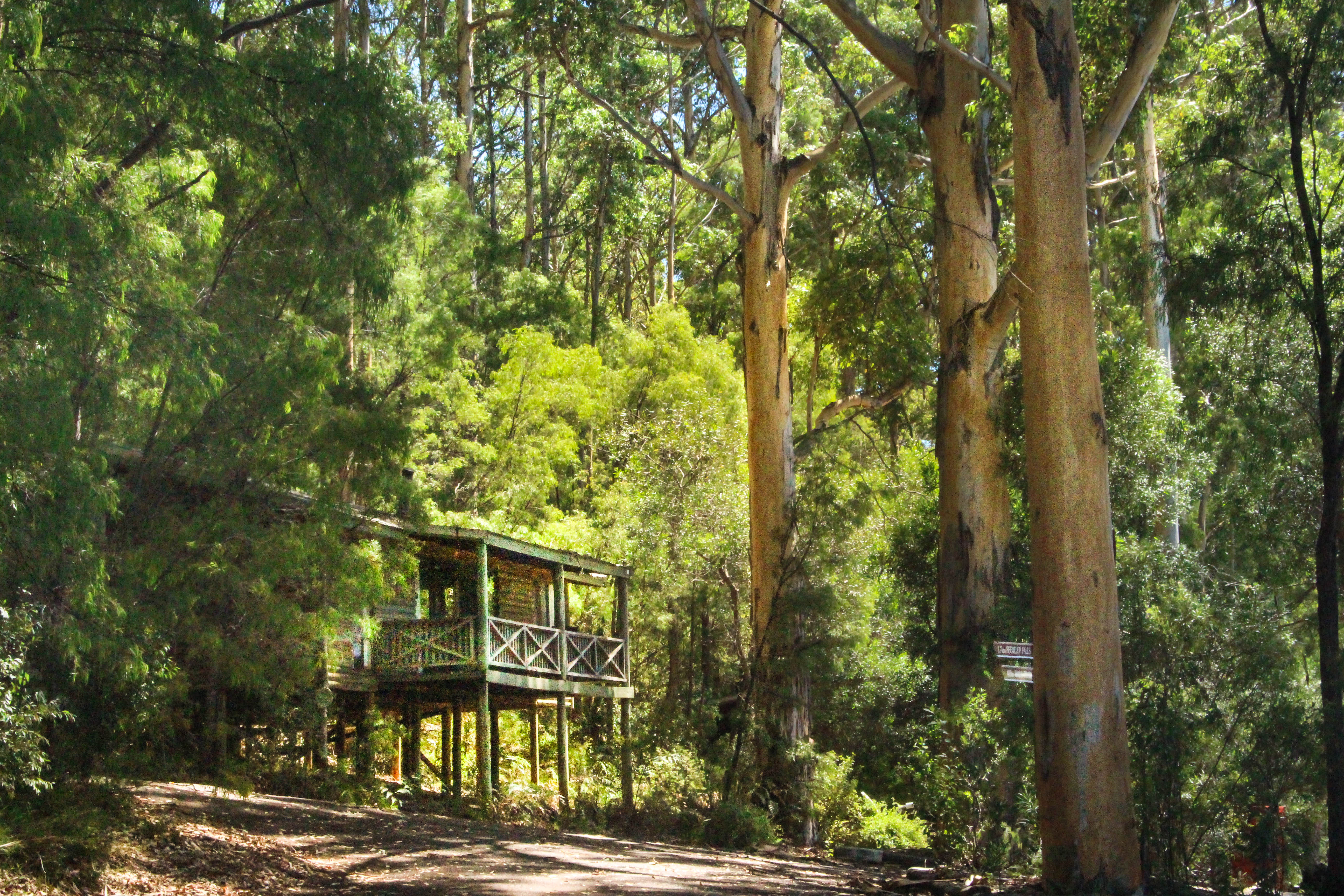 pemberton-tree-house