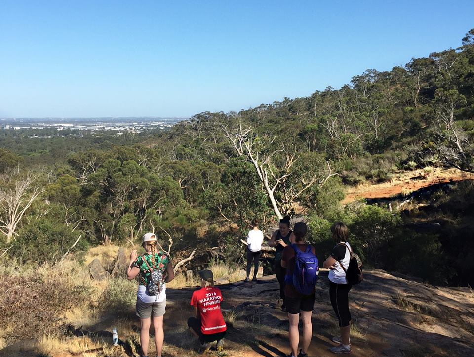 Hiking Whistlepipe Gully